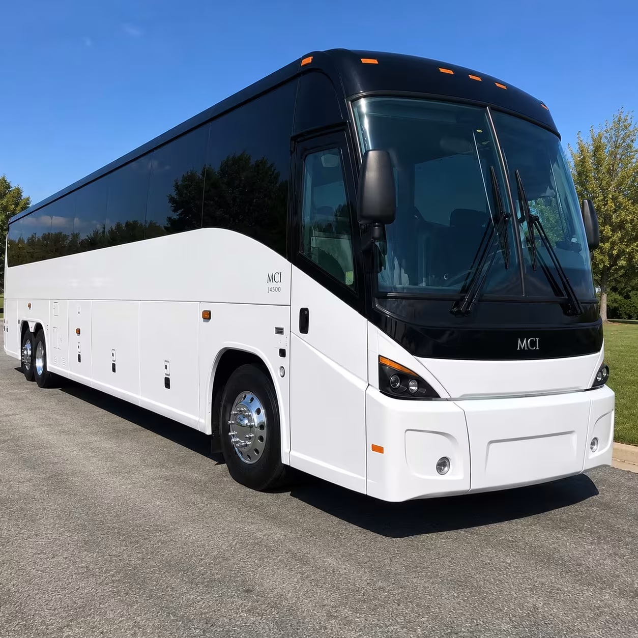 charter buses to john ball zoo make wyoming field trips unforgettable